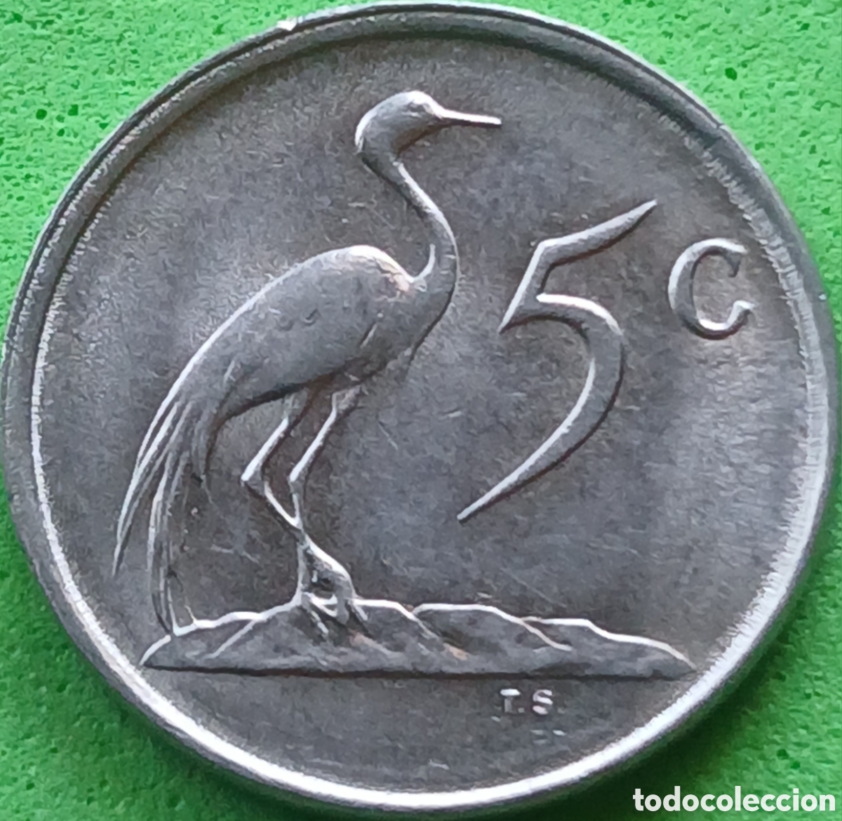 Monedas antiguas de &Aacute;frica: Suid &Aacute;frika 5 cents 1988 km#84