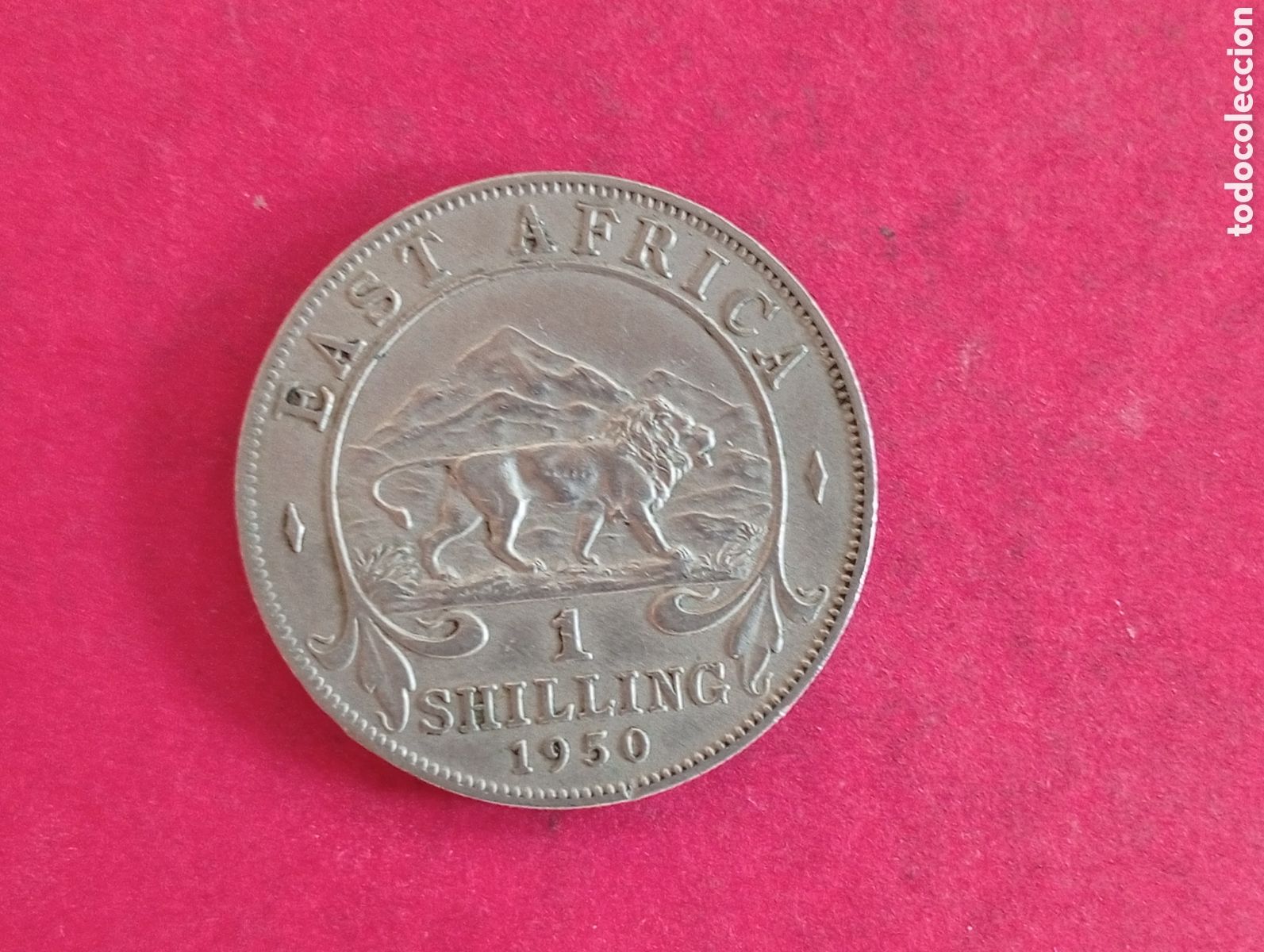 Monedas antiguas de &Aacute;frica: 1 chel&iacute;n de &Aacute;frica Este Brit&aacute;nica 1950