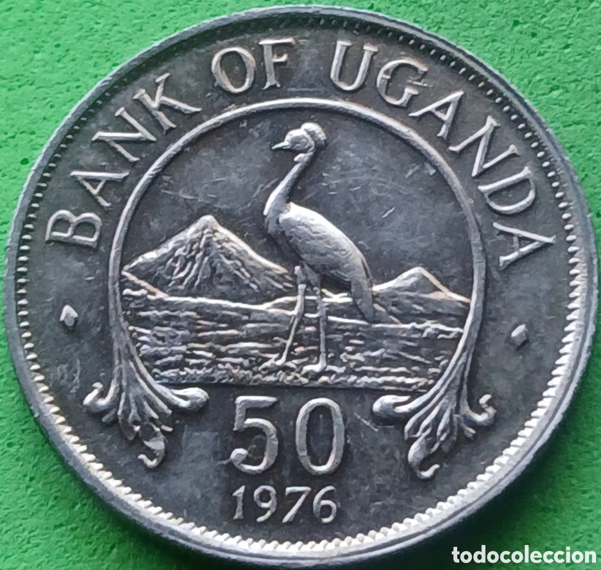 Monedas antiguas de &Aacute;frica: Uganda fifty cents 1976 km#4a