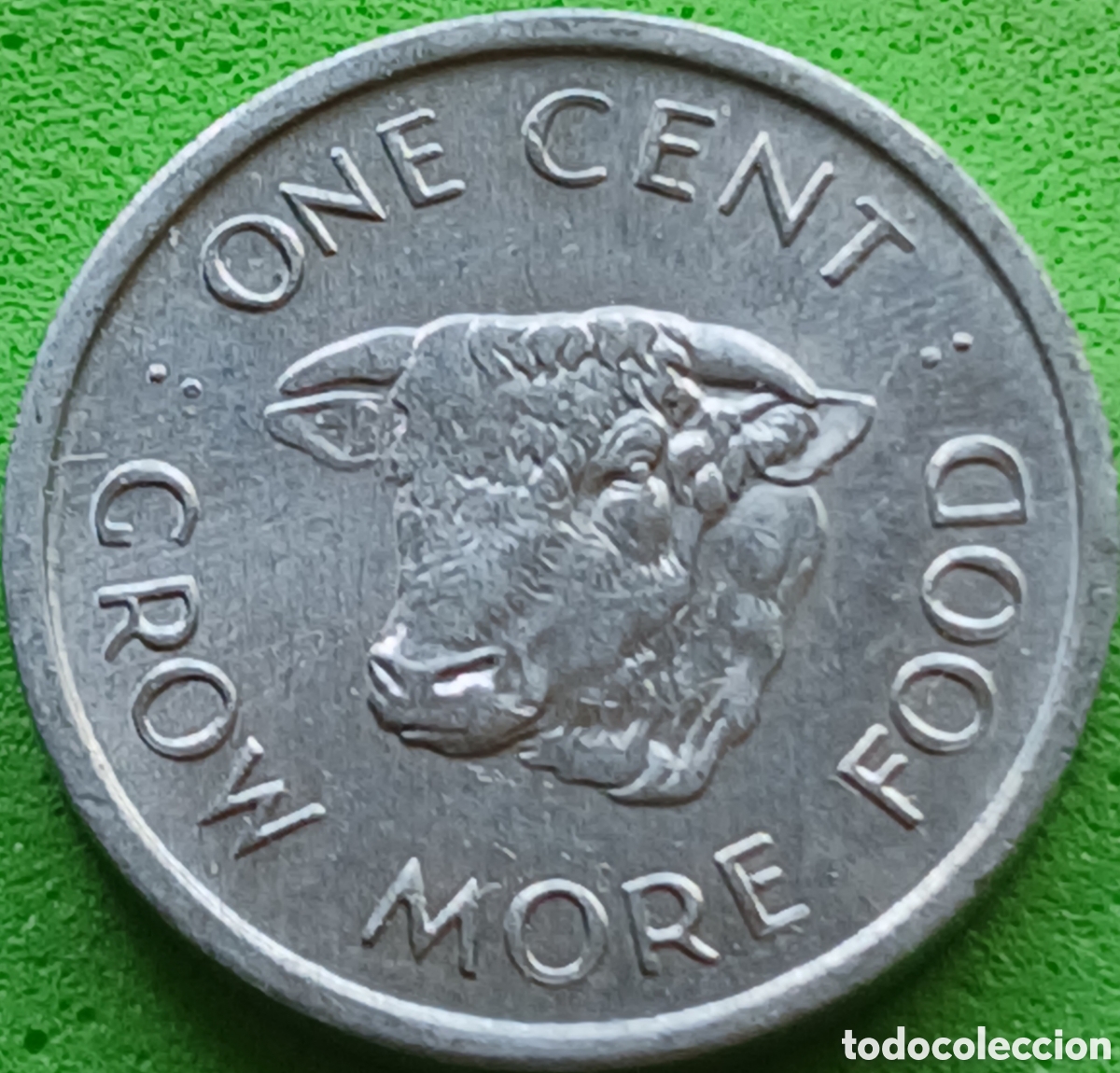 Monedas antiguas de &Aacute;frica: Seychelles one cent 1972 km#17 FAO
