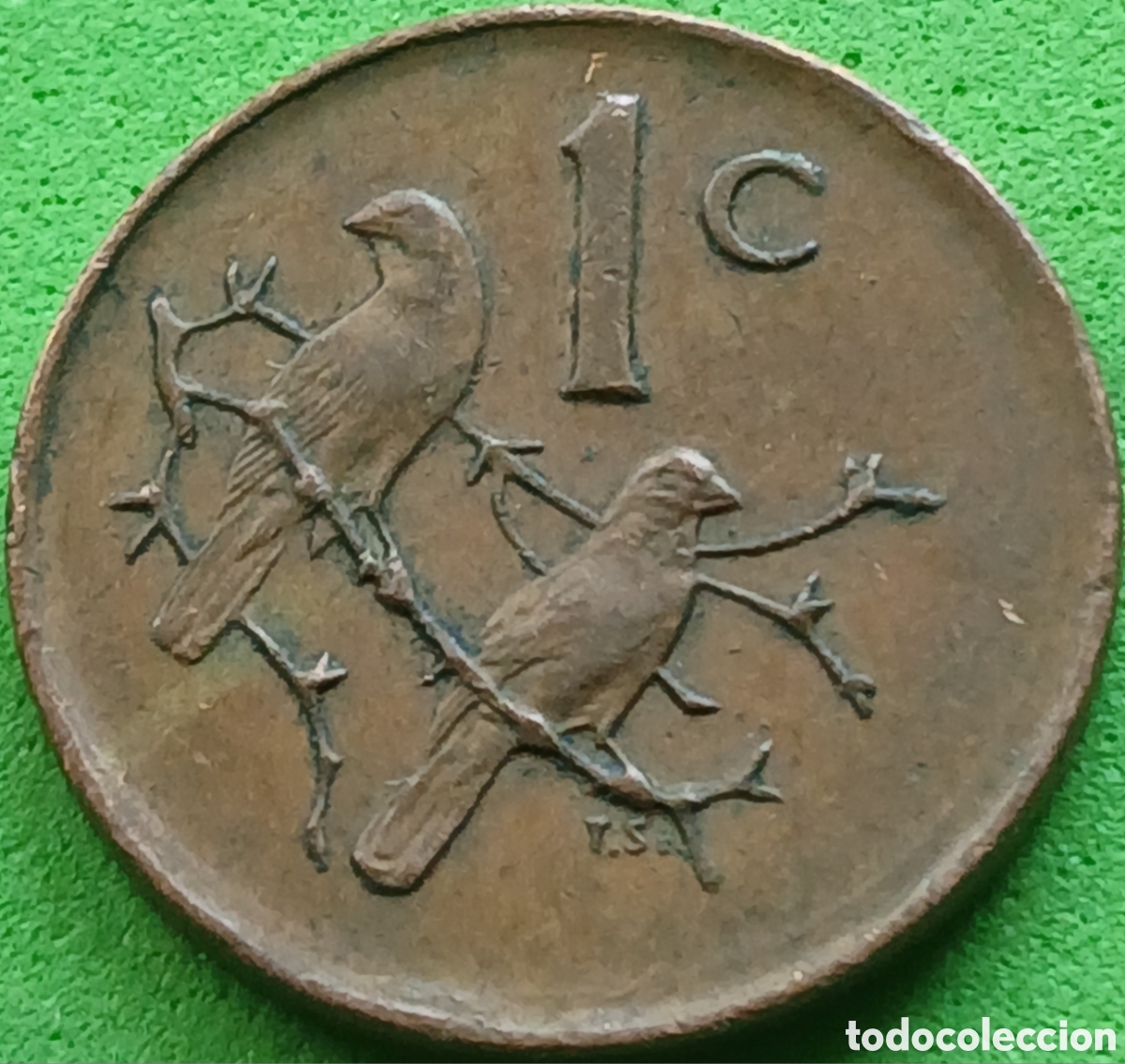 Monedas antiguas de &Aacute;frica: Suid &Aacute;frika 1 cent 1984 km#82