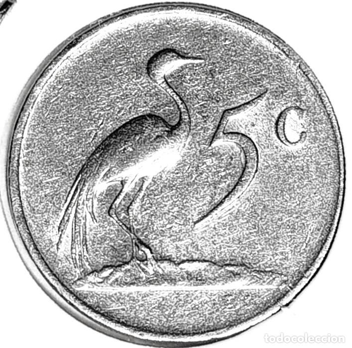 Monnaies anciennes d'Afrique: SUDAFRICA (1961-) - 5 CENTAVOS 1983 - REPUBLICA - A - 2,50 GR. NIQUEL - DIAMETRO 17,55 mm - KM#84