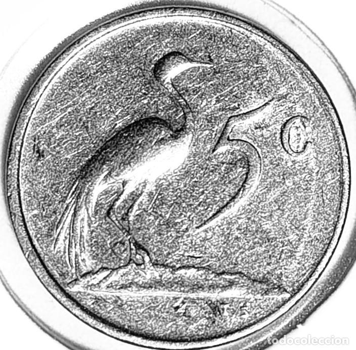 Monedas antiguas de &Aacute;frica: SUDAFRICA (1961-) - 5 CENTAVOS 1977 - GRULLA - A - 2,50 GR. NIQUEL - DIAMETRO 17,35 mm - KM#84 - MB