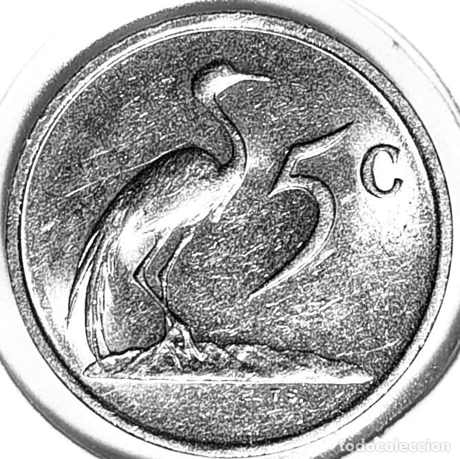 Monedas antiguas de &Aacute;frica: SUDAFRICA (1961-) - 5 CENTAVOS 1986 - GRULLA - A - 2,50 GR. NIQUEL - DIAMETRO 17,35 mm - KM#84 - MB