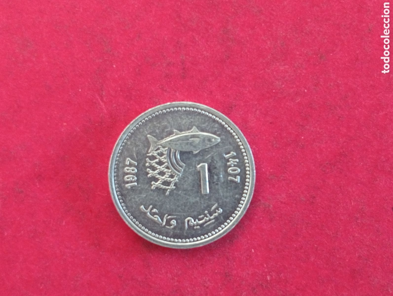 Monedas antiguas de &Aacute;frica: 1 santim de Marruecos 1987