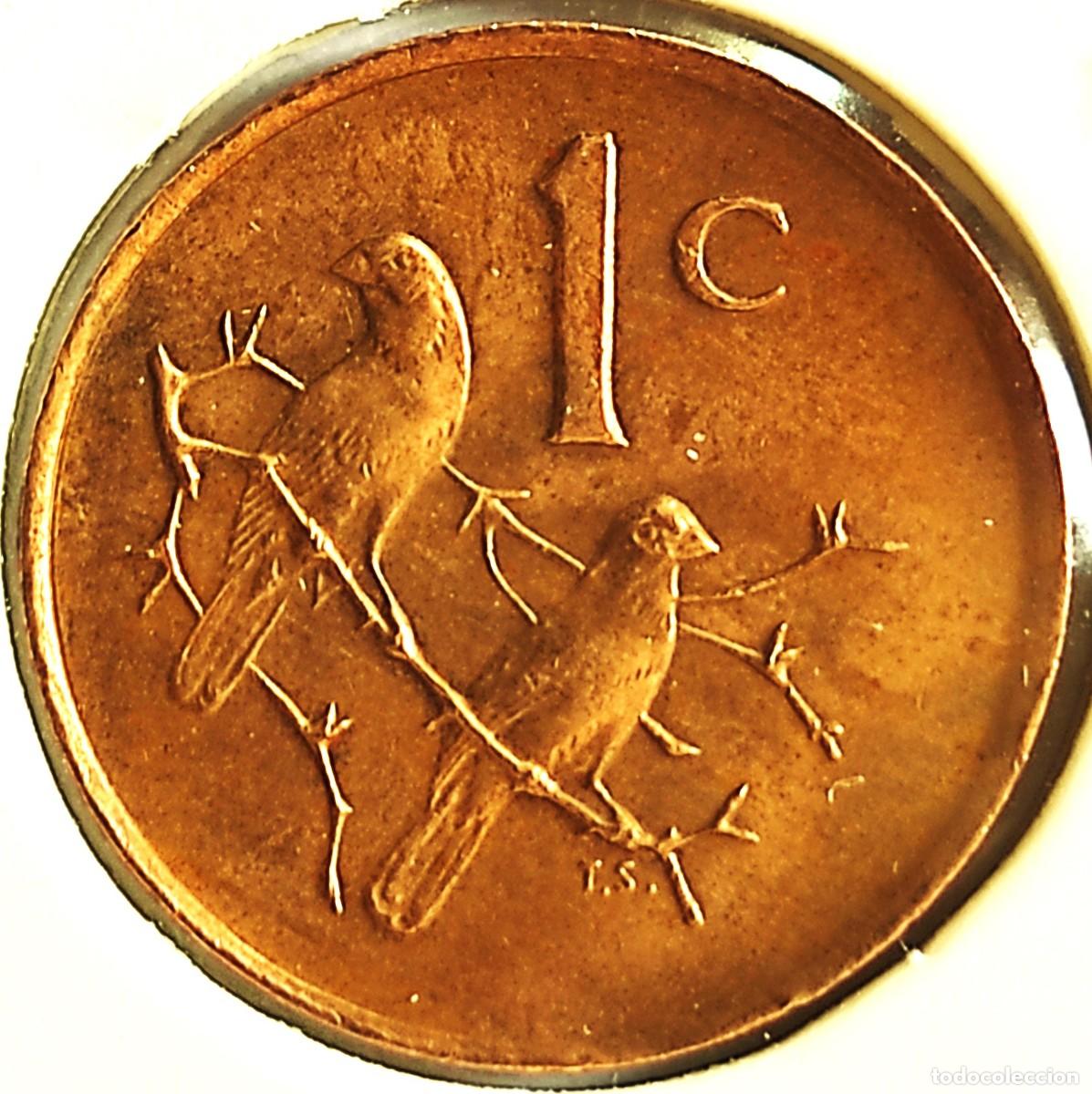 Monnaies anciennes d'Afrique: SUDAFRICA (1961-) - 1 CENTAVO 1988 - GORRION - A - 3 GR. BRONCE - DIAMETRO 19 mm - KM#82 - MB