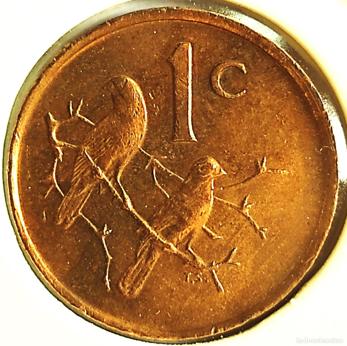 Monnaies anciennes d'Afrique: SUDAFRICA (1961-) - 1 CENTAVO 1989 - GORRION - A - 3 GR. BRONCE - DIAMETRO 19 mm - KM#82 - MB