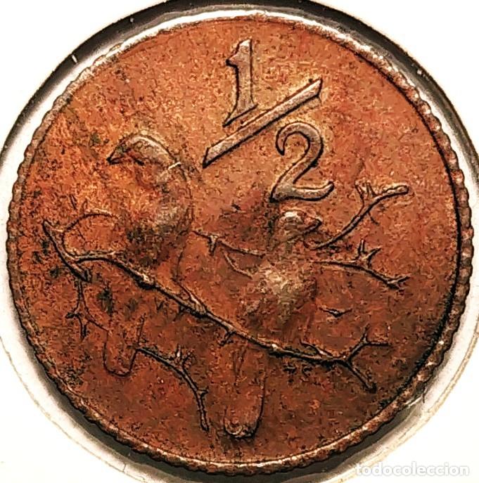Alte M&uuml;nzen aus Afrika: SUDAFRICA (1961-) - 0,50 CENTAVO 1970 - GORRION - A - 2 GR. BRONCE - DIAMETRO 16,30 mm - KM#81 - MB