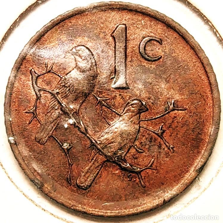 Alte M&uuml;nzen aus Afrika: SUDAFRICA (1961-) - 1 CENTAVO 1970 - GORRION - A - 3 GR. BRONCE - DIAMETRO 19 mm - KM#82 - MB