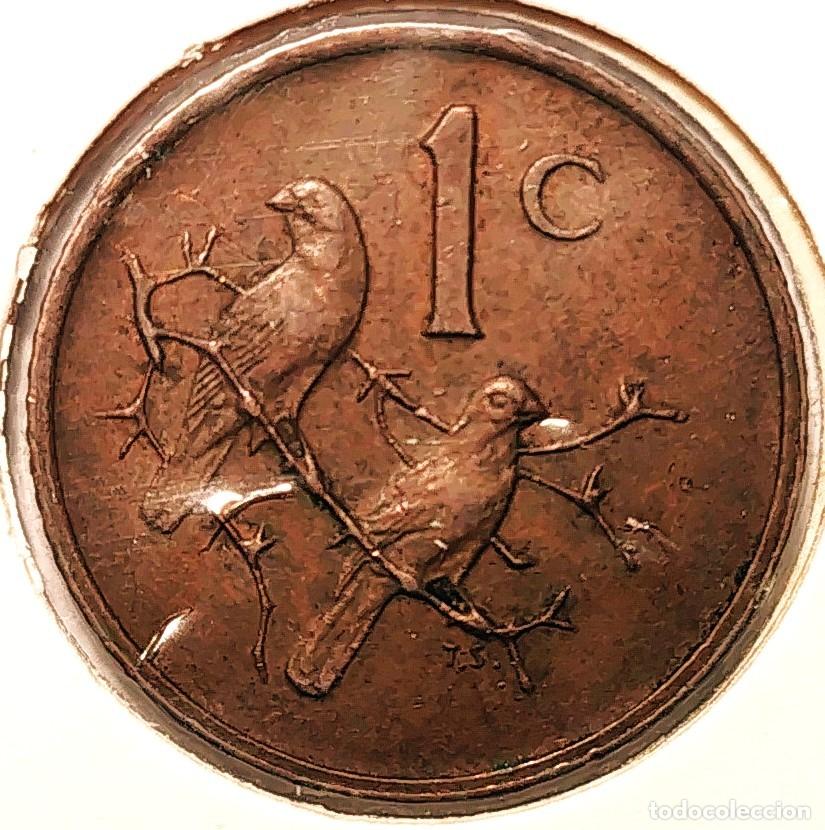 Alte M&uuml;nzen aus Afrika: SUDAFRICA (1961-) - 1 CENTAVO 1971 - GORRION - A - 3 GR. BRONCE - DIAMETRO 19 mm - KM#82 - MB