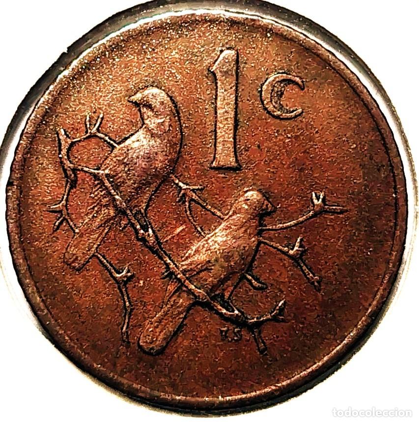 Alte M&uuml;nzen aus Afrika: SUDAFRICA (1961-) - 1 CENTAVO 1972 - GORRION - A - 3 GR. BRONCE - DIAMETRO 19 mm - KM#82 - MB