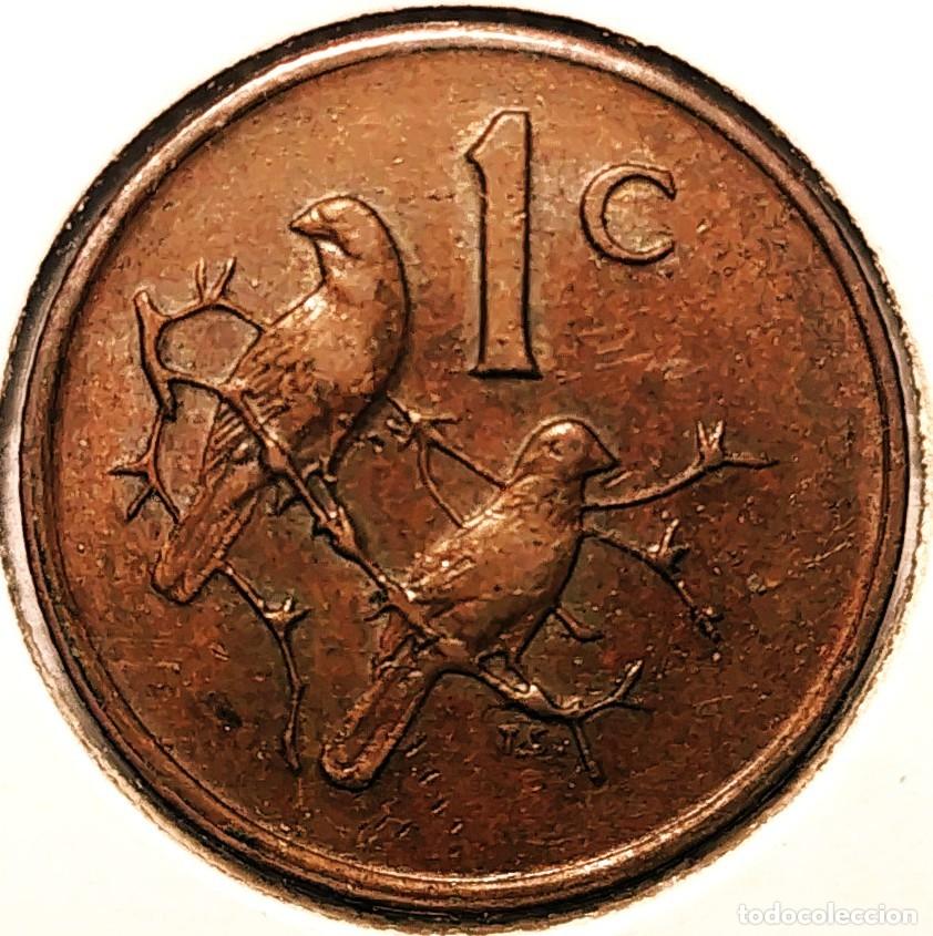 Alte M&uuml;nzen aus Afrika: SUDAFRICA (1961-) - 1 CENTAVO 1975 - GORRION - A - 3 GR. BRONCE - DIAMETRO 19 mm - KM#82 - MB