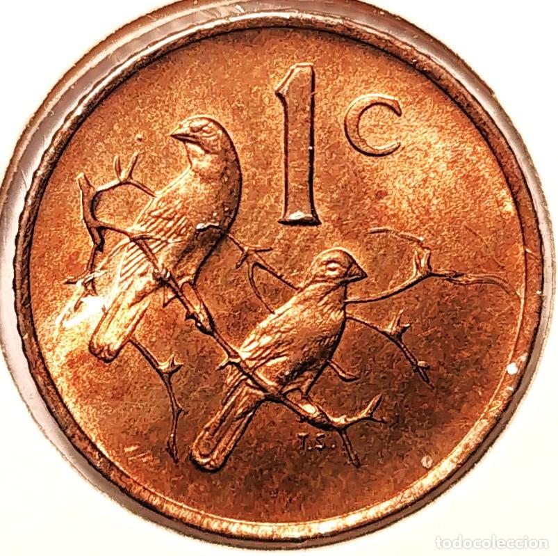 Monnaies anciennes d'Afrique: SUDAFRICA (1961-) - 1 CENTAVO 1985 - GORRION - A - 3 GR. BRONCE - DIAMETRO 19 mm - KM#82 - MB