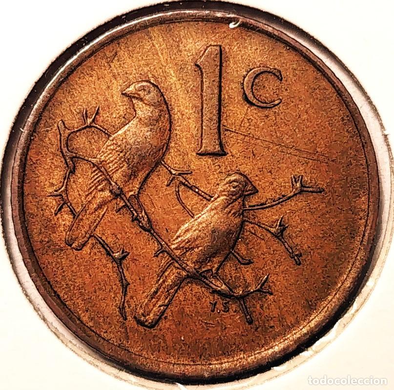 Monnaies anciennes d'Afrique: SUDAFRICA (1961-) - 1 CENTAVO 1986 - GORRION - A - 3 GR. BRONCE - DIAMETRO 19 mm - KM#82 - MB