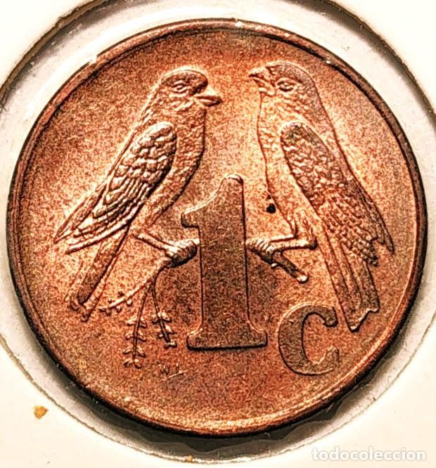 Monnaies anciennes d'Afrique: SUDAFRICA (1961-) - 1 CENTAVO 2000 - GORRION - A - 1,50 GR. ACERO COBREADO - DIAMETRO 15 mm