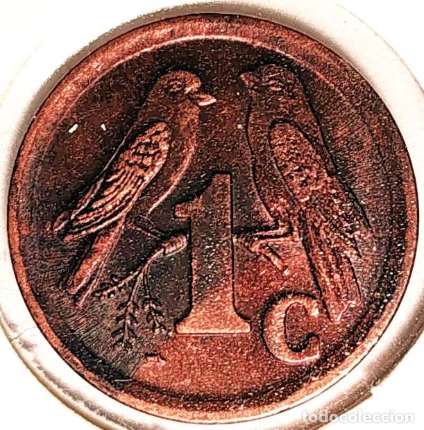Monedas antiguas de &Aacute;frica: SUDAFRICA (1961-) - 1 CENTAVO 1993 - REPUBLICA - GORRION - A - 1,50 GR. ACERO COBREADO - DIAME 15 mm