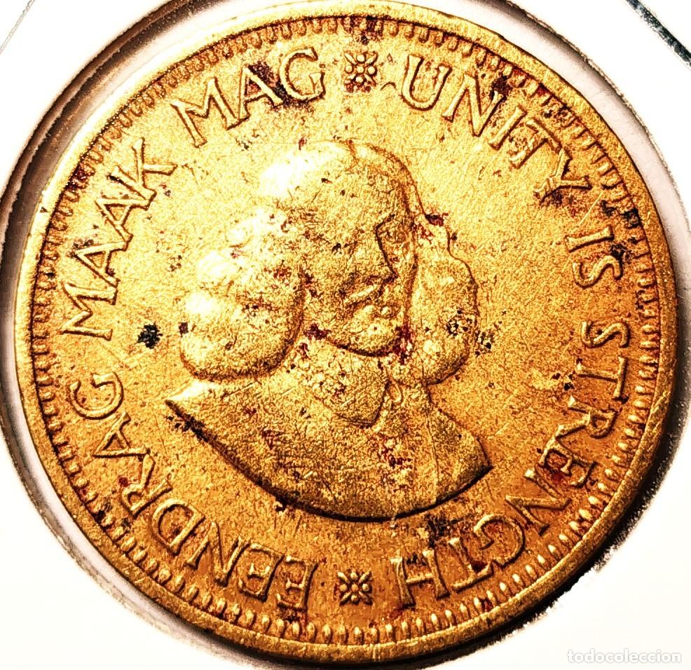 Monedas antiguas de &Aacute;frica: SUDAFRICA (1961-) - 0,50 CENTAVO 1961 - JAN VAN RIEBEECK - GORRION - A - 5,65 GR. LATON