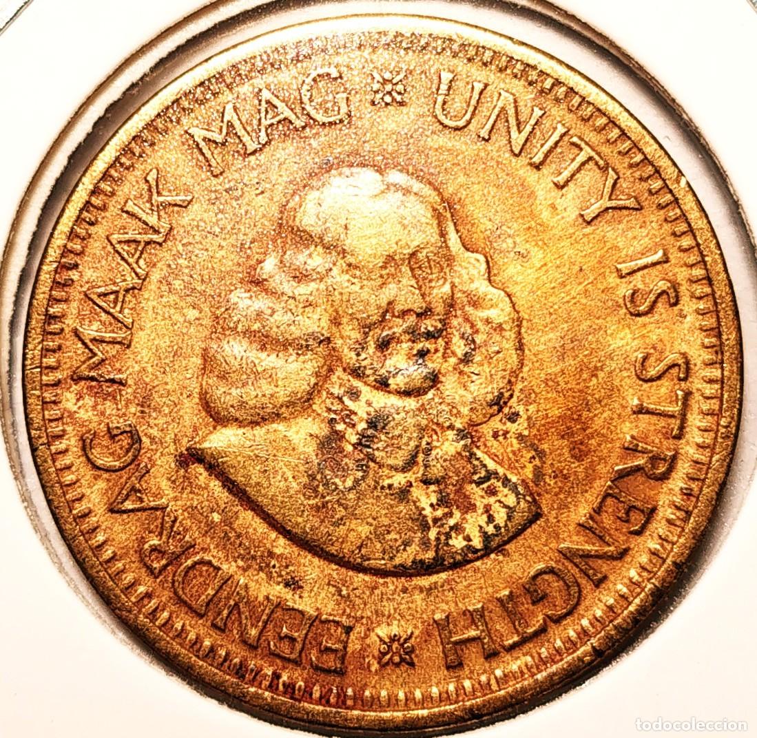 Monedas antiguas de &Aacute;frica: SUDAFRICA (1961-) - 0,50 CENTAVO 1964 - JAN VAN RIEBEECK - GORRION - A - 5,65 GR. LATON