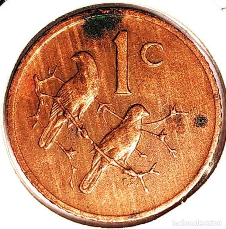 Monedas antiguas de &Aacute;frica: SUDAFRICA (1961-) - 1 CENTAVO 1973 - GORRION - A - 3 GR. BRONCE - DIAMETRO 19 mm - KM#82 - MB