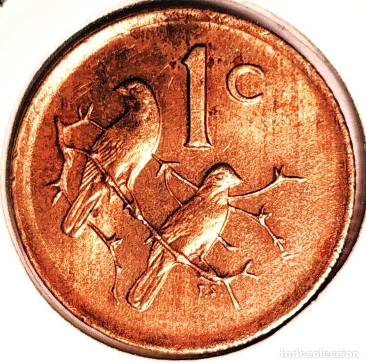 Monedas antiguas de &Aacute;frica: SUDAFRICA (1961-) - 1 CENTAVO 1978 - GORRION - A - 3 GR. BRONCE - DIAMETRO 19 mm - KM#82 - MB