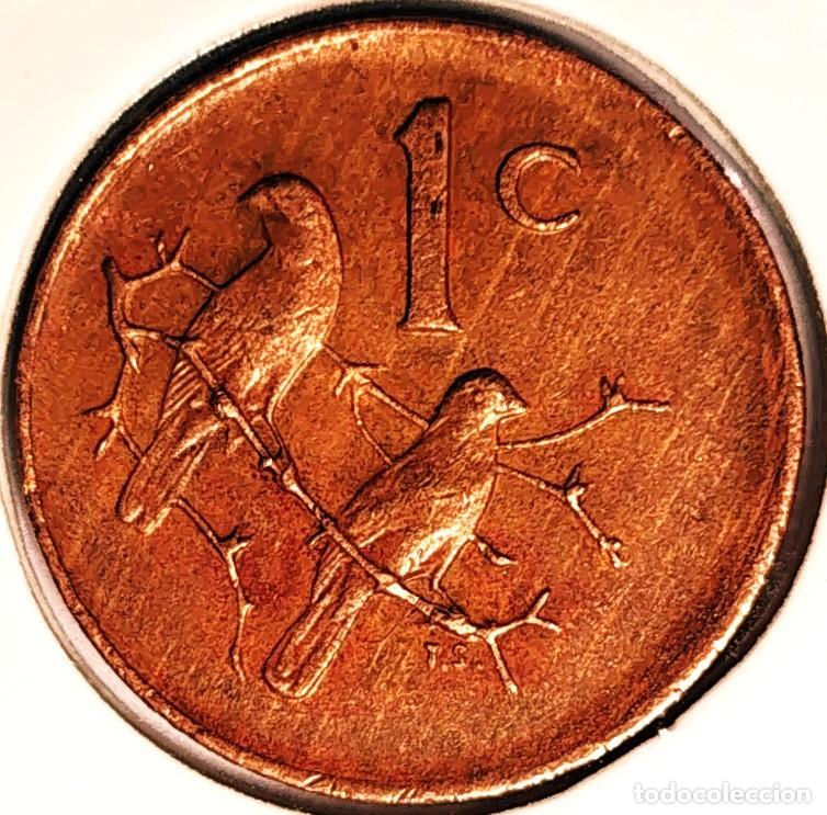 Monedas antiguas de &Aacute;frica: SUDAFRICA (1961-) - 1 CENTAVO 1983 - GORRION - A - 3 GR. BRONCE - DIAMETRO 19 mm - KM#82 - MB