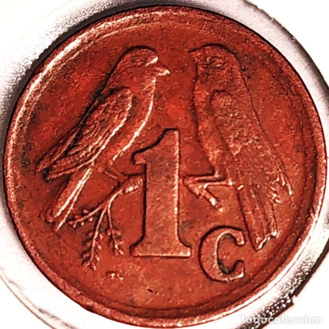Monedas antiguas de &Aacute;frica: SUDAFRICA (1961-) - 1 CENTAVO 1991 - GORRION - A - ACERO COBREADO - DIAMETRO 15 mm - KM#132 - MB