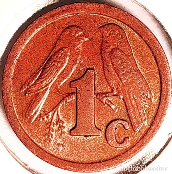 Monedas antiguas de &Aacute;frica: SUDAFRICA (1961-) - 1 CENTAVO 1992 - GORRION - A - ACERO COBREADO - DIAMETRO 15 mm - KM#132 - MB