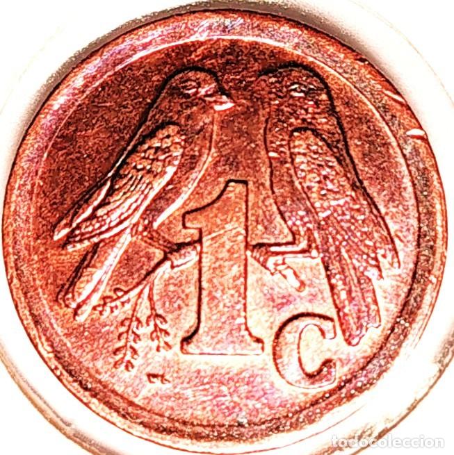Monedas antiguas de &Aacute;frica: SUDAFRICA (1961-) - 1 CENTAVO 1994 - GORRION - A - ACERO COBREADO - DIAMETRO 15 mm - KM#132 - MB