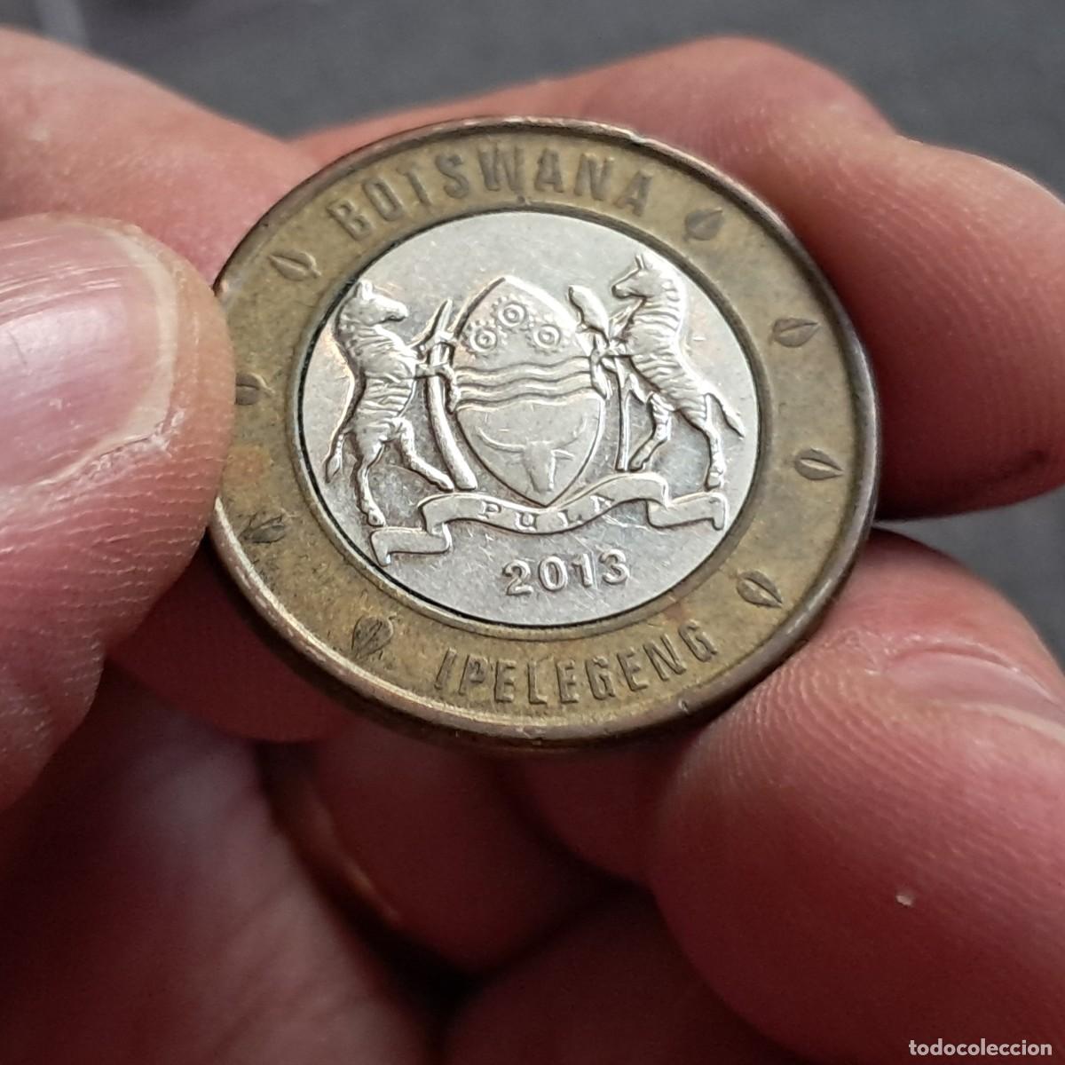 Monedas antiguas de &Aacute;frica: MONEDA DE BOTSWANA 5 PULA 2013 F, KM# 37, Sch&ouml;n# 38, N# 57610.