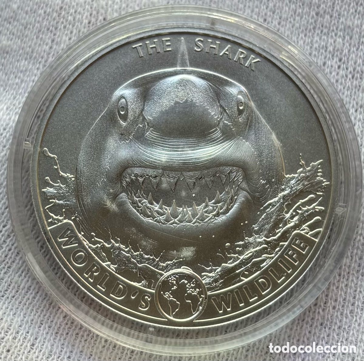 Monedas antiguas de &Aacute;frica: Moneda PLATA 1 Onza CONGO 2026 Tibur&oacute;n. 20 Francs Oz 999