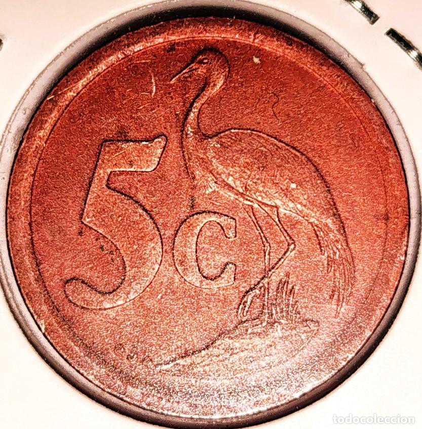 Monedas antiguas de &Aacute;frica: SUDAFRICA (1961-) - 5 CENTAVOS 1995 - REPUBLICA - A - 4,50 GR. ACERO COBREADO - DIAM 21 mm - KM#134