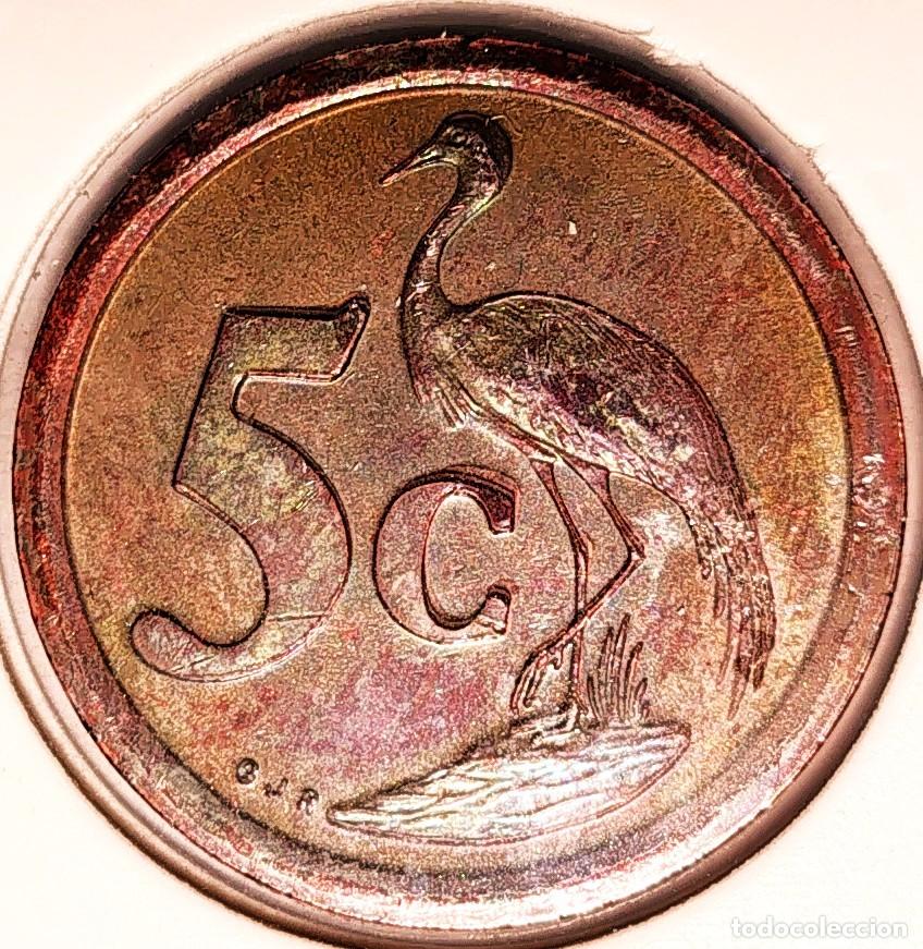 Monedas antiguas de &Aacute;frica: SUDAFRICA (1961-) - 5 CENTAVOS 1994 - REPUBLICA - A - 4,50 GR. ACERO COBREADO - DIAM 21 mm - KM#344
