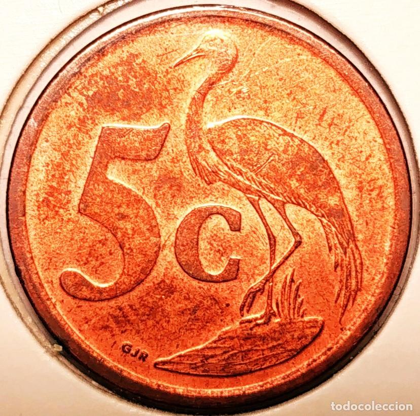 Alte M&uuml;nzen aus Afrika: SUDAFRICA (1961-) - 5 CENTAVOS 2009 - ININGIZIMU AFRIKA - A - 4,50 GR. ACERO COBREADO - DIAMETRO 21