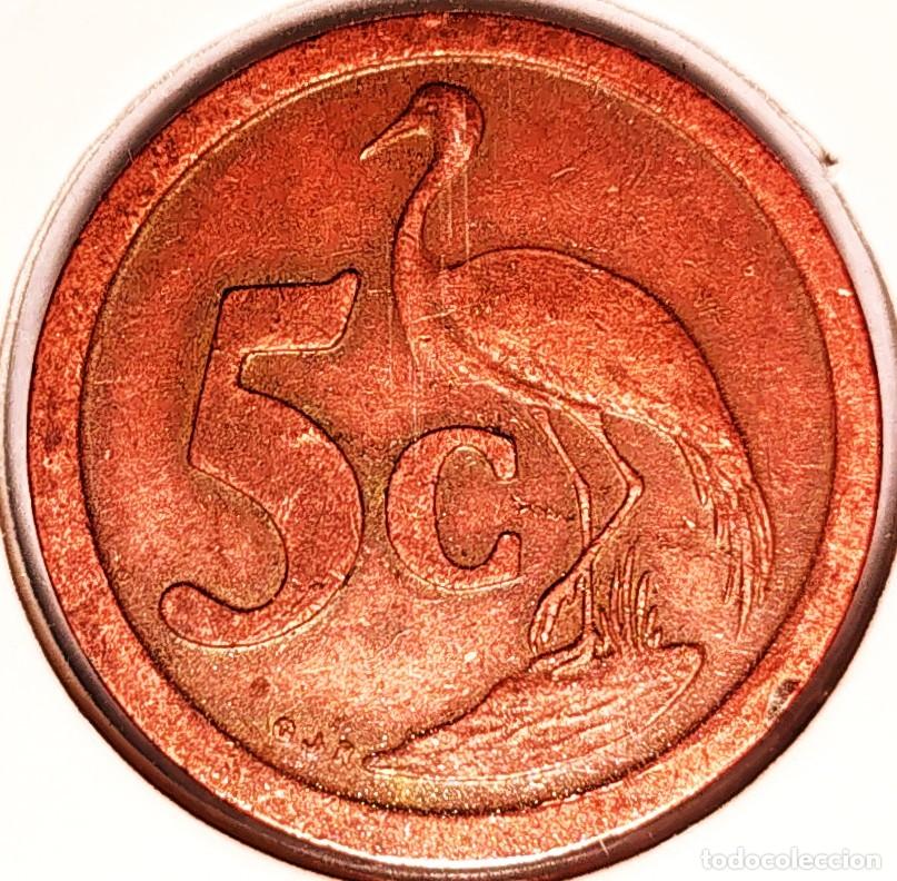 Monedas antiguas de &Aacute;frica: SUDAFRICA (1961-) - 5 CENTAVOS 1992 - REPUBLICA - A - 4,50 GR. ACERO COBREADO - DIAMETRO 21 mm