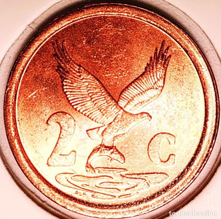 Monedas antiguas de &Aacute;frica: SUDAFRICA (1961-) - 2 CENTAVOS 1995 - REPUBLICA - A - 3 GR. ACERO COBREADO - DIAMETRO 18 mm - KM#133