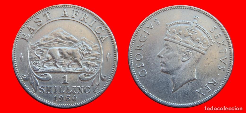 Monedas antiguas de &Aacute;frica: 1 CHELIN SHILLING 1950 AFRICA ORIENTAL-155613