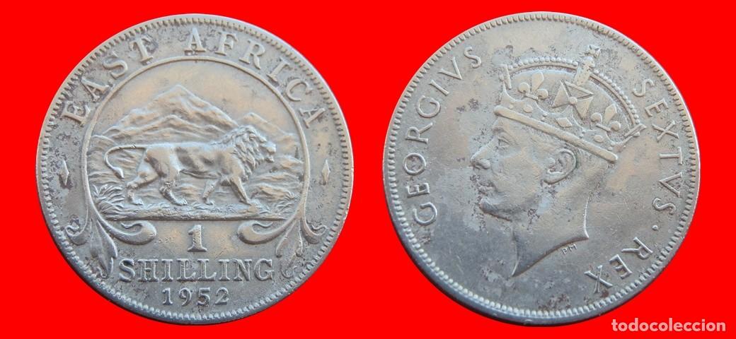 Monedas antiguas de &Aacute;frica: 1 CHELIN SHILLING 1952 AFRICA ORIENTAL-155614