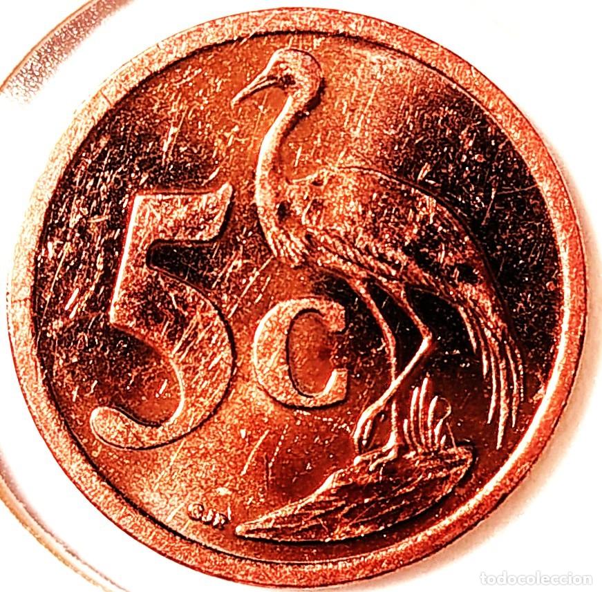 Monedas antiguas de &Aacute;frica: SUDAFRICA (1961-) - 5 CENTAVOS 2010 - REPUBLICA - GRULLA - A - 4,50 GR. ACERO COBREADO