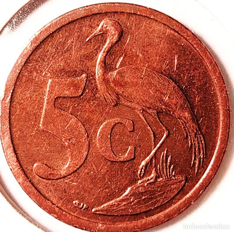 Monedas antiguas de &Aacute;frica: SUDAFRICA (1961-) - 5 CENTAVOS 2008 - REPUBLICA - GRULLA - A - 4,50 GR. ACERO COBREADO