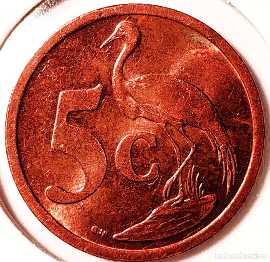 Monedas antiguas de &Aacute;frica: SUDAFRICA (1961-) - 5 CENTAVOS 2004 - REPUBLICA - GRULLA - A - 4,50 GR. ACERO COBREADO