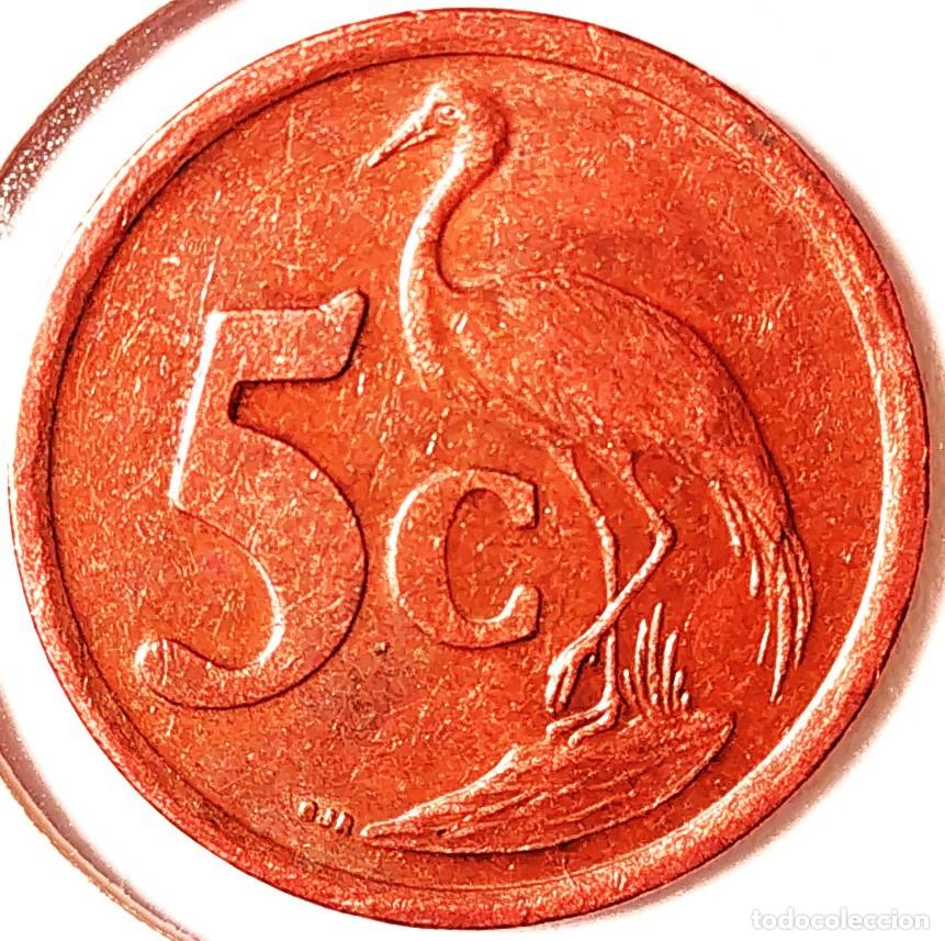 Monedas antiguas de &Aacute;frica: SUDAFRICA (1961-) - 5 CENTAVOS 2003 - REPUBLICA - GRULLA - A - 4,50 GR. ACERO COBREADO