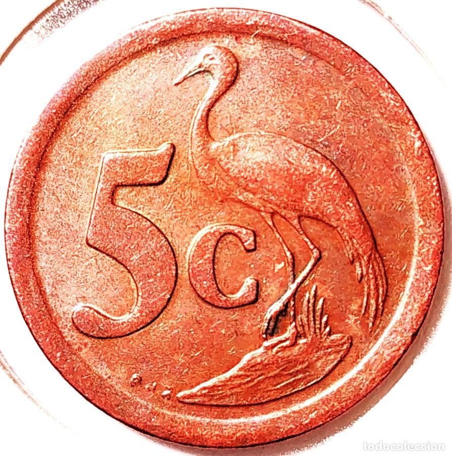 Monedas antiguas de &Aacute;frica: SUDAFRICA (1961-) - 5 CENTAVOS 1991 - REPUBLICA - GRULLA - A - 4,50 GR. ACERO COBREADO