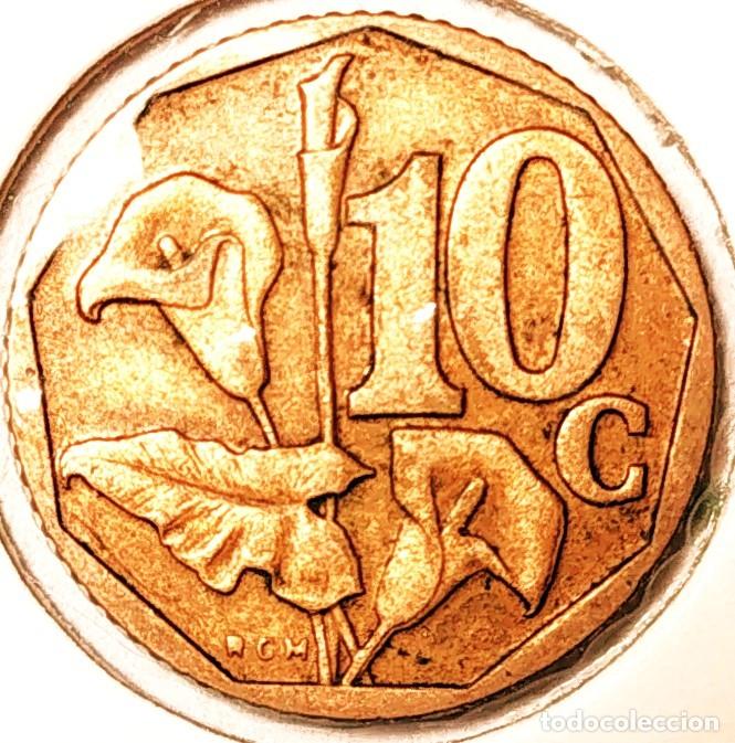 Alte M&uuml;nzen aus Afrika: SUDAFRICA (1961-) - 10 CENTAVOS 1999 - SOUTH AFRICA - A - 2 GR. ACERO BRONCEADO - DIAMETRO 16 mm