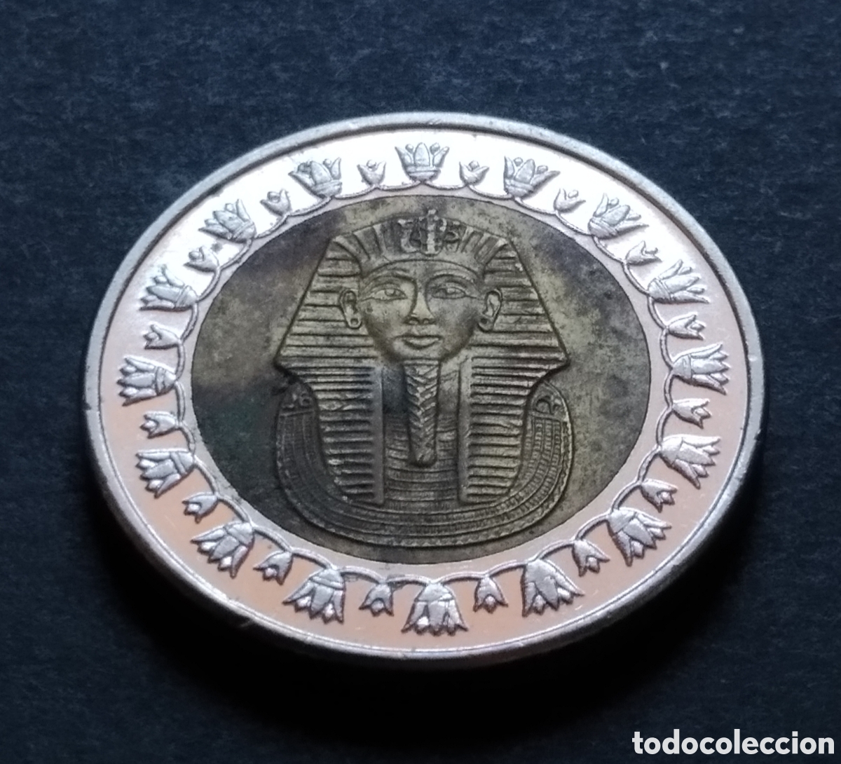 Monedas antiguas de &Aacute;frica: MONEDA - EGIPTO 1 LIBRA / POUND 2022 - Foto 3