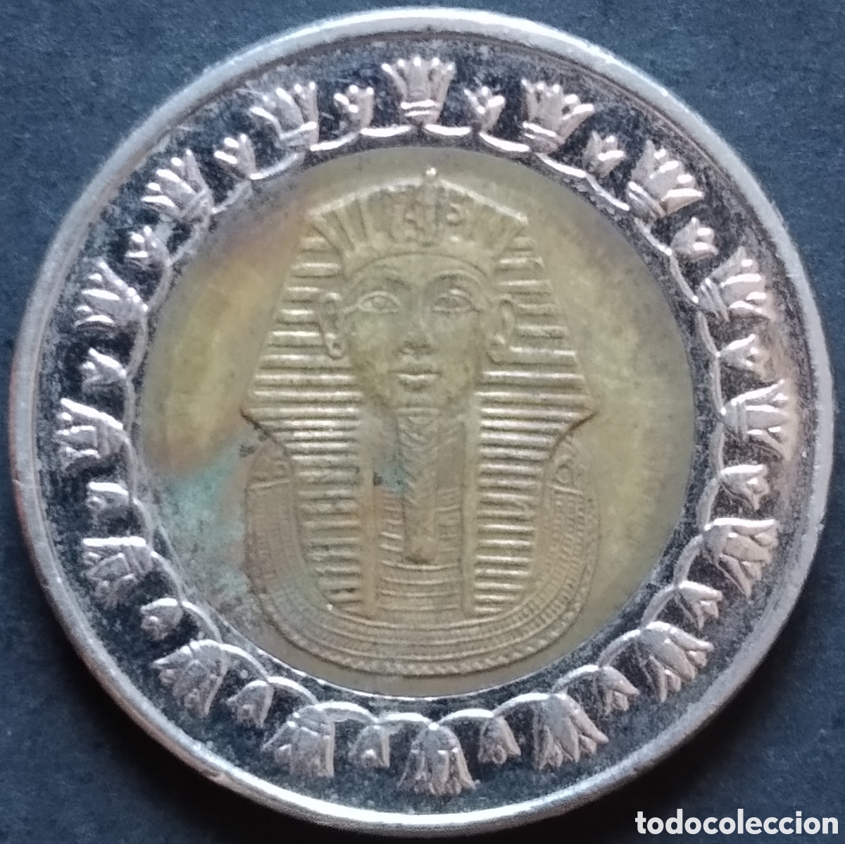 Monedas antiguas de &Aacute;frica: MONEDA - EGIPTO 1 LIBRA / POUND 2022