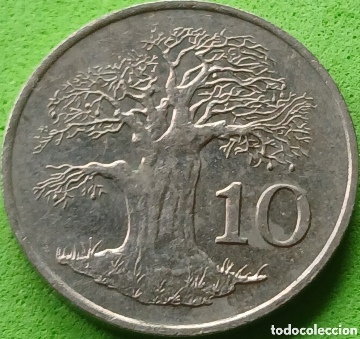 Monedas antiguas de &Aacute;frica: Zimbabwe 10 cents 1987 km#3