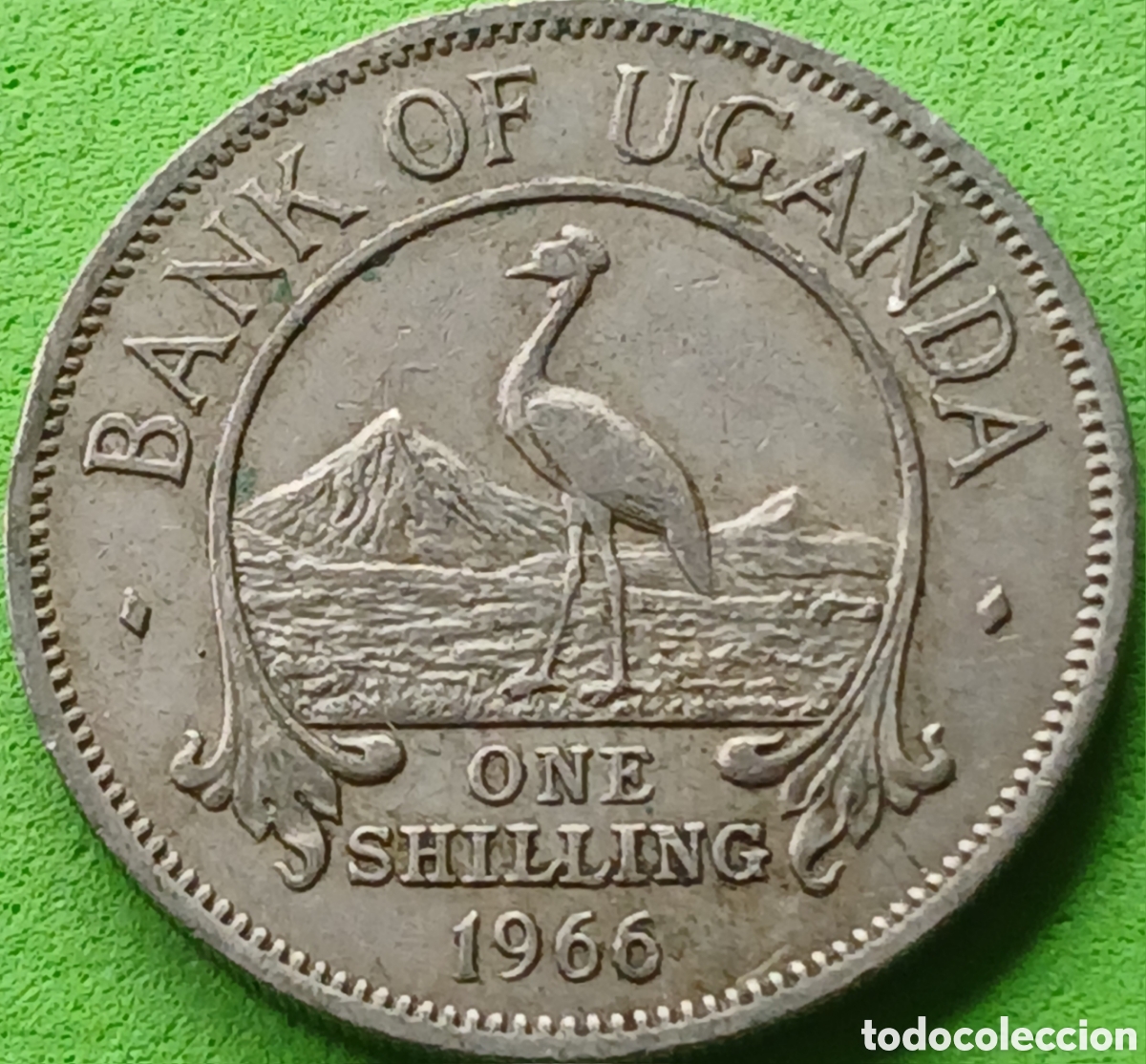 Monedas antiguas de &Aacute;frica: Uganda one shilling 1966 km#4