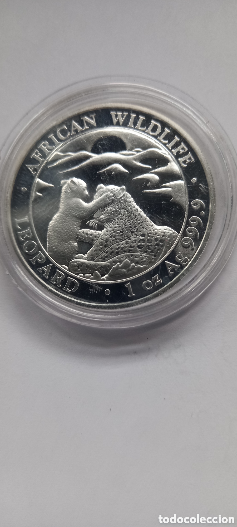 Monedas antiguas de &Aacute;frica: SOMALIA 100 SHILLINGS 2019 LEOPARDO ONZA PLATA PURA