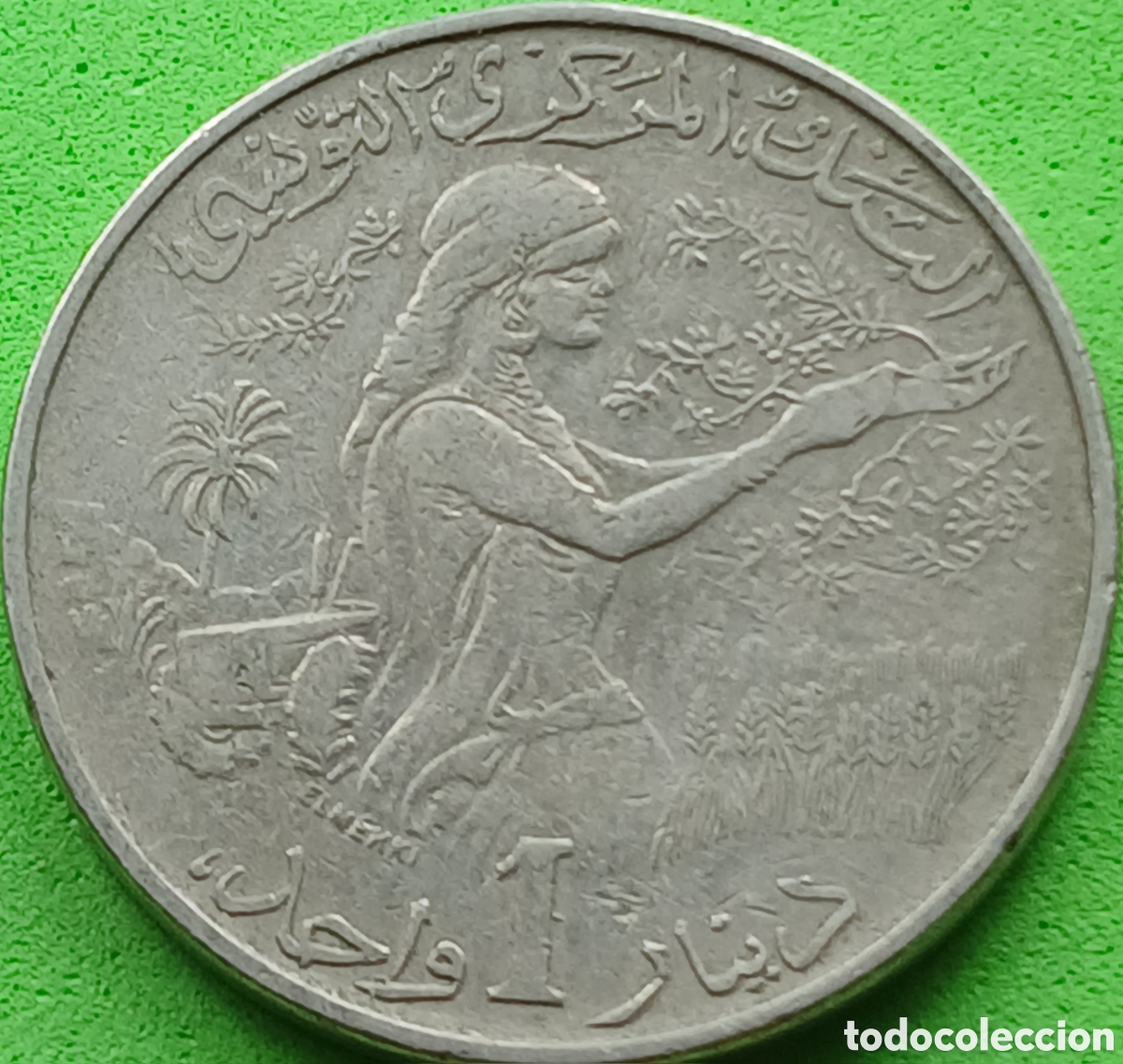 Monedas antiguas de &Aacute;frica: T&uacute;nez 1 dinar 1976 km#304 puntos bajo la primera palabra / poco com&uacute;n