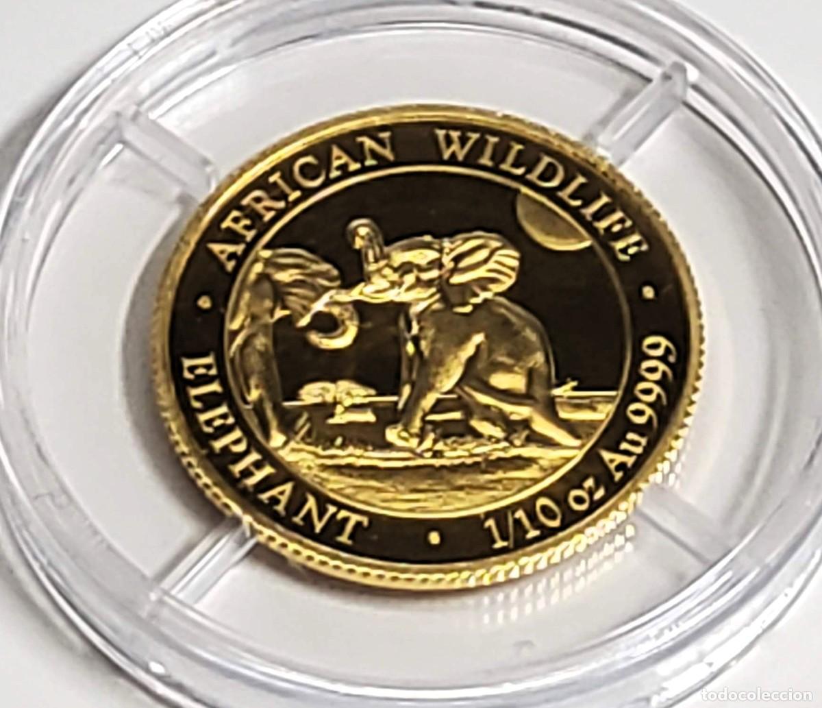 Monedas antiguas de &Aacute;frica: 100 CHELINES DE ORO DE SOMALIA DEL A&Ntilde;O 2024 ORO DE LEY 999.PROOF.